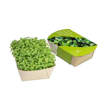 Mikrogrønt plantekasse