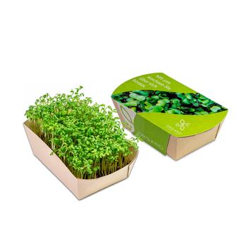 Mikrogrønt plantekasse