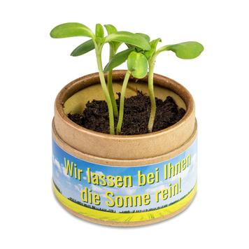Plante-Cup "Cup-U-Seed-O" med frø